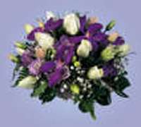 Envio y venta de flores ,rosas, plantas,arreglos florales ,regalos y desayunos a domicilio con delivery gratis en la Ciudad Autonoma de Buenos Aires y con costo de env�o en localidades del Gran Buenos Aires asi como delivery de flores y plantas a trav�s de florerias asociadas en todas las provincias de la Argentina, Buenos Aires, la Pampa, Tucuman, La Rioja, R�o Negro, Entre Rios, Corrientes, Misiones, Neuquen, Chubut, Tierra del Fuego, Santa Cruz, San Luis, Mendoza, Cordoba, Jujuy, Formosa, Santiago del Estero, Salta, Chaco, Catamarca ,San Juan, y ademas realizamos el delivery de flores ,coronas,palmas , plantas y regalos a todas las ciudades de Argentina, Mar del Plata, C�rdoba, Buenos Aires, con cargo en Santa Rosa, La Plata, Bella Vista, Neuquen, Pilar, Paran�, Posadas, Resistencia, Cipolleti y mas de 300 ciudades y localidades en todo el territorio de nuestro pa�s, asi como tambien tenemos la posibilidad de enviar flores a casi todo el mundo en cuestion de horas